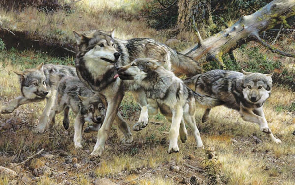 Reproductions of Carl Brenders Paintings Disorderly Conduct Reproductions of Carl Brenders Paintings Disorderly Conduct